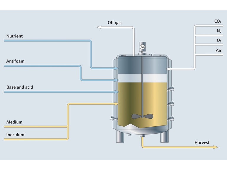 Fermentation Process Map